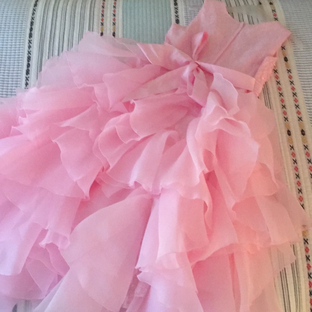 Pink Dress - Picture 10 of 16